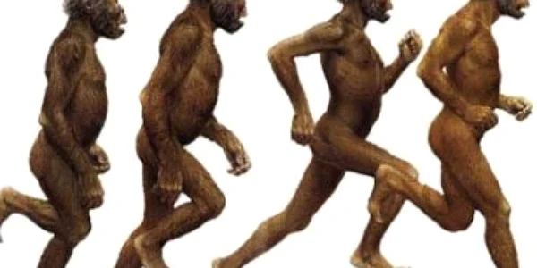 Noi date despre originea şi evoluţia omului modern - studiu
