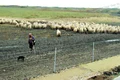 CLIIMA20121021 0046 1 jpeg
