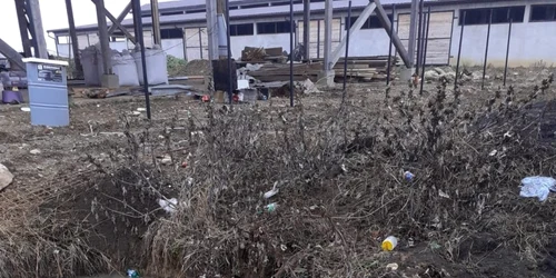 cluj barbat mort. foto isu cluj