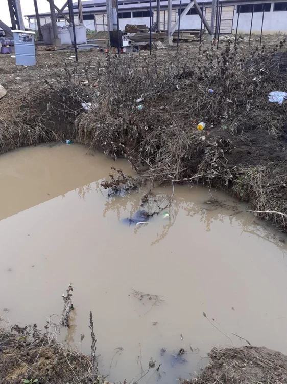 Balta în care a fost găsit clujeanul. FOTO: ISU Cluj