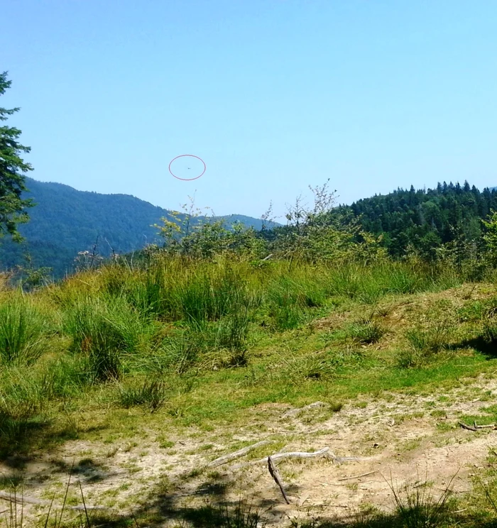 Căutările planorului dispărut joi continuă şi astăzi, pentru a şasea zi consecutivă FOTO MAI
