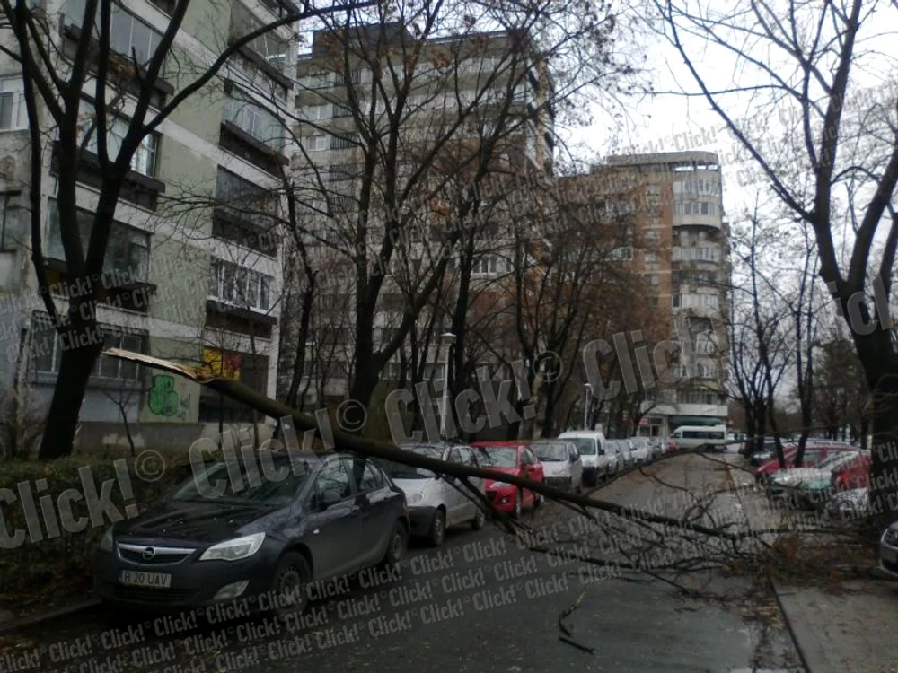 
    Foto: Adrian Pogingeanu  