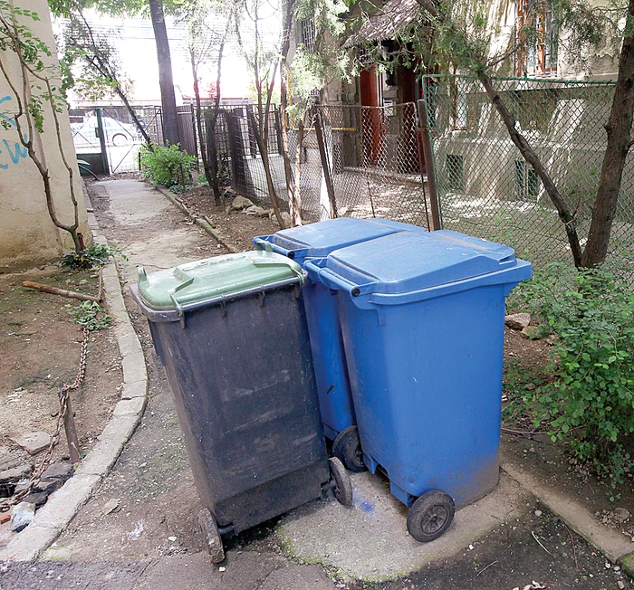 Lângă aceste pubele a fost aruncată micuţa