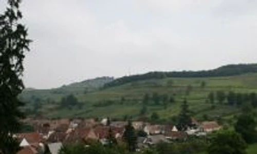 1 47914 original jpg jpeg