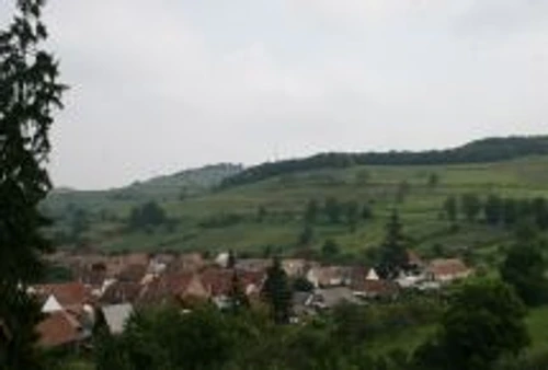 1 47914 original jpg jpeg