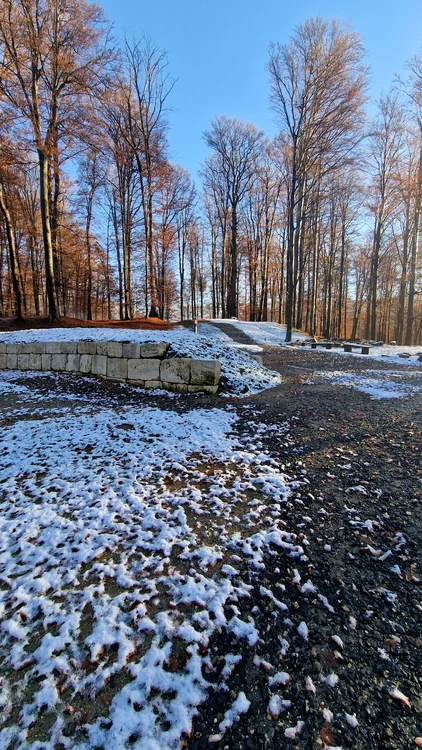 Sarmizegetusa Regia (© Facebook / Administrația Sarmizegetusa Regia)