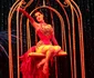 Dita von Teese 45 de ani (20) jpeg