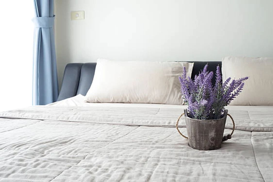 Lavanda poate fi perfectă pentru dormitor