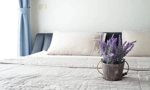 lavanda dormitor istock jpg