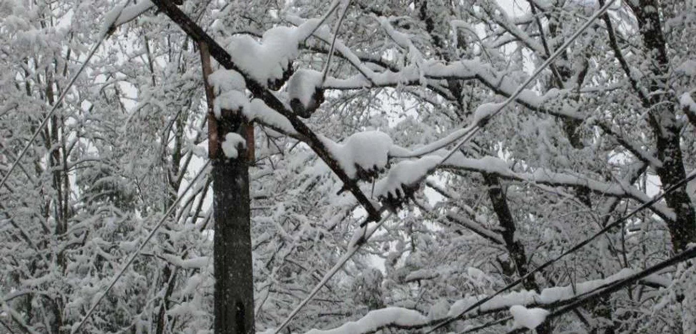 10 localităţi din Suceava rămase fără curent electric.FOTO Delgaz