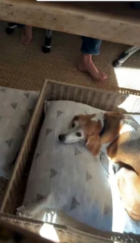 Prințul Harry desculț în clipul lui Meghan Markle. FOTO: captură Instagram