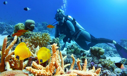 scafandru terapie cu oxigen shutterstock 1022309644(1) jpg