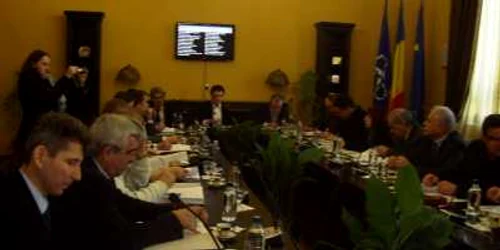 Consiliul local Botoşani se înnoieşte