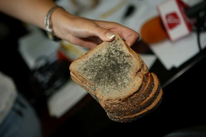 Sporii de mucegai îţi afectează sănătatea şi pot declanşa cancer