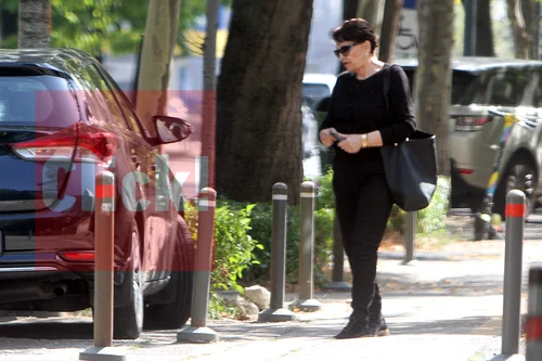 Dida Drăgan, o apariție fresh. Sursă: Click!