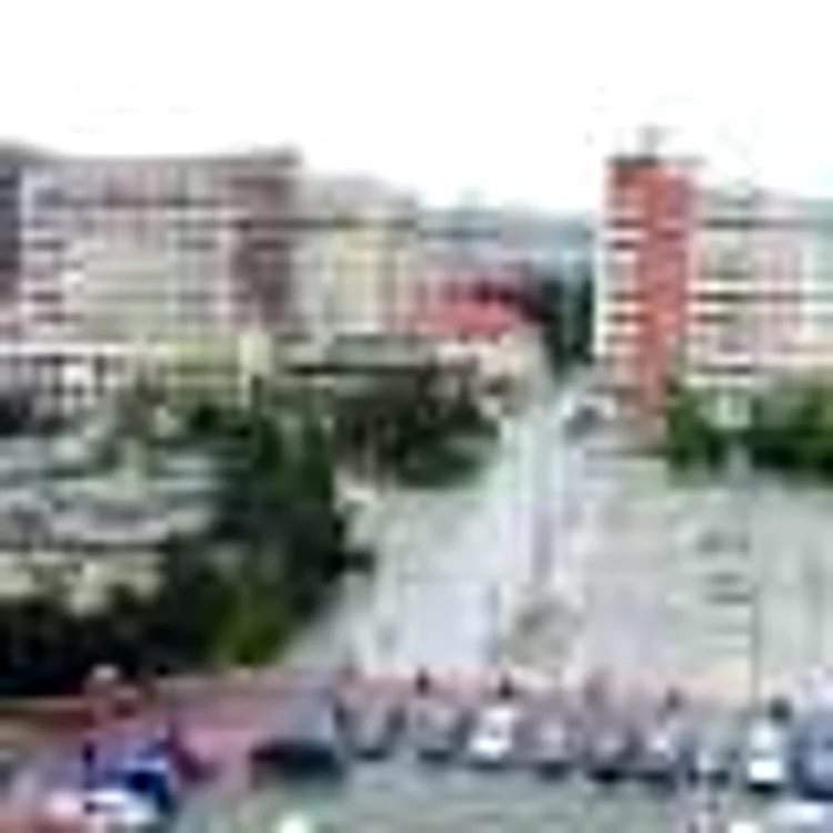 Cele mai multe vânzări au fost pentru apartamentele din blocuri. 