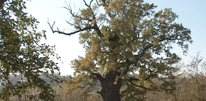 FOTO: stirisuceava.net