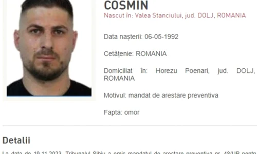 zulean costinel cosmin jpg