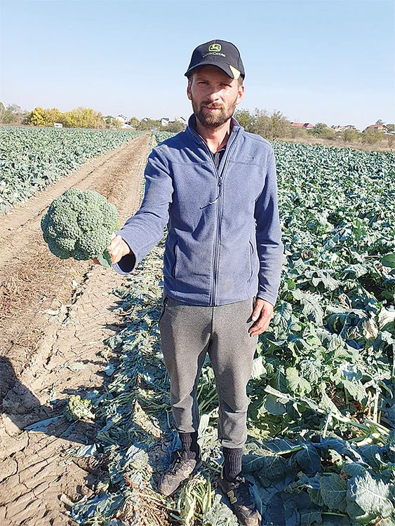 Ilie este  specialist  în brocoli