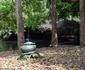 3DBE433700000578 4263634 Serene The beautiful rock pool and waterfall at rear of Angelina a 66 1488197513417 jpeg