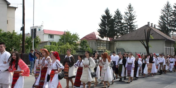 maial nasaud  11