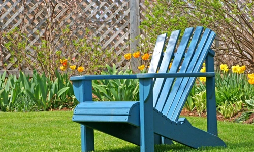 1 69552 original jpg jpeg