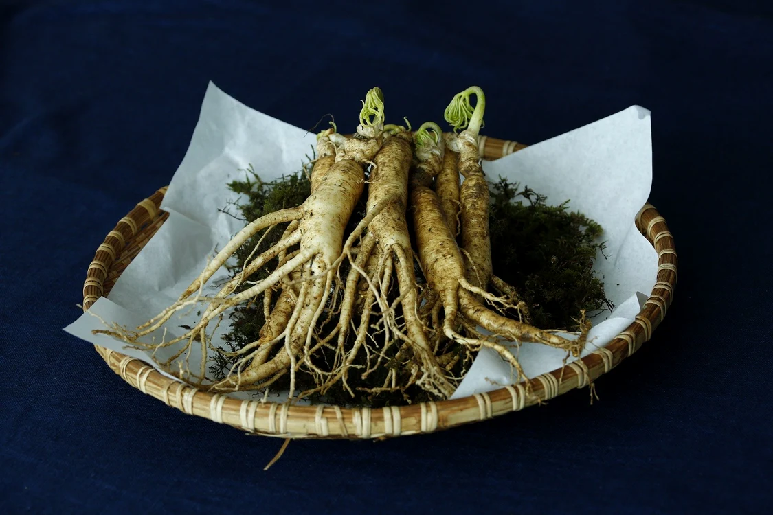 3 ginseng 3404958 1920 jpg jpeg