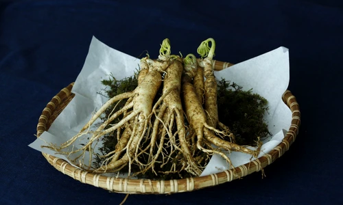 3 ginseng 3404958 1920 jpg jpeg