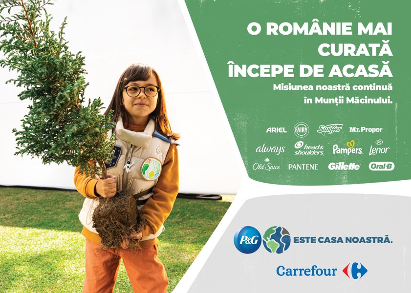600 de puieți de gorun plantați de voluntarii  P&G și Carrefour România în Munții Măcinului
