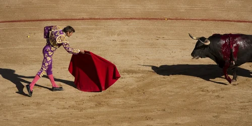 Taur in timpul coridei FOTO AP