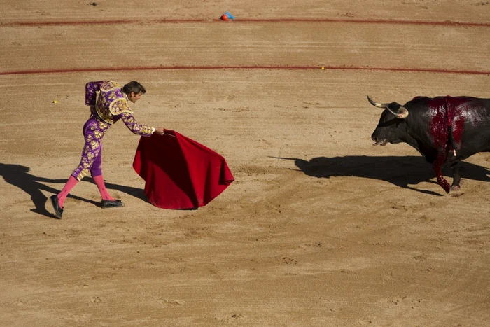 Taur in timpul coridei FOTO AP