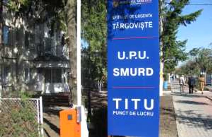 Titu 8
