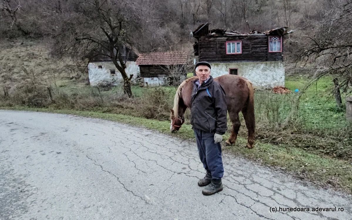 Andrei și unul dintre caii săi. Foto: Daniel Guță. ADEVĂRUL
