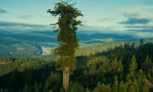 hyperion captura video jpg