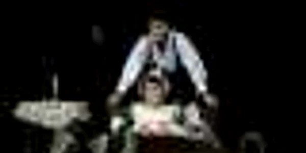 O noapte furtunoasa, Teatrul Bulandra, Vlad Zamfirescu, Caragiale