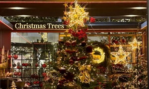 Brazi artificiali Foto Christmas Land DMS