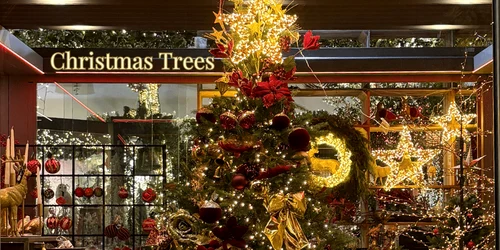 Brazi artificiali Foto Christmas Land DMS