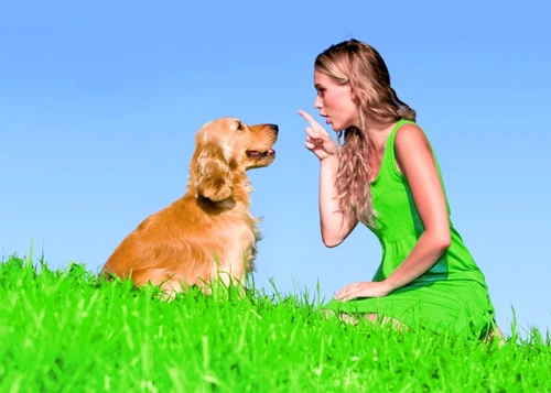 1 46543 original jpg jpeg