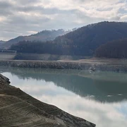 baraju paltinu razvan george topala jpg