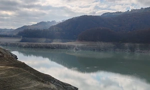 baraju paltinu razvan george topala jpg