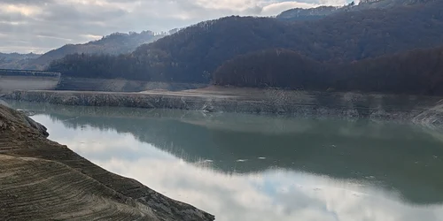 baraju paltinu razvan george topala jpg