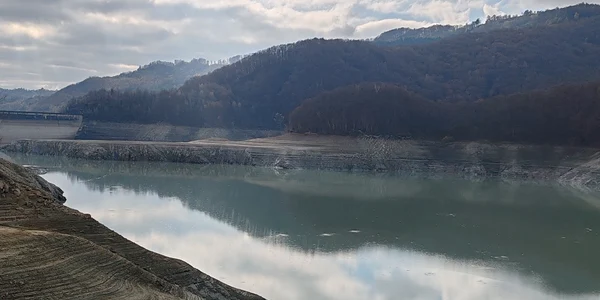 baraju paltinu razvan george topala jpg
