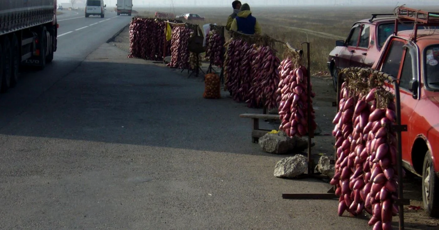 ceapa buzau