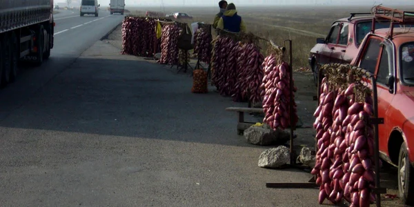 ceapa buzau