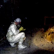 cernobîl piciorul elefantului foto Getty Images png