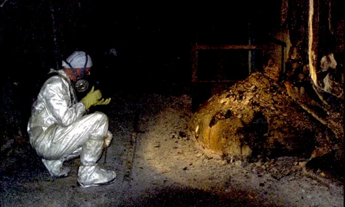 cernobîl piciorul elefantului foto Getty Images png