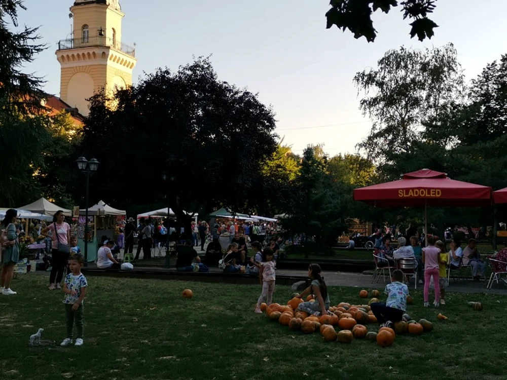 Kikinda 2021 FOTO Ş.Both