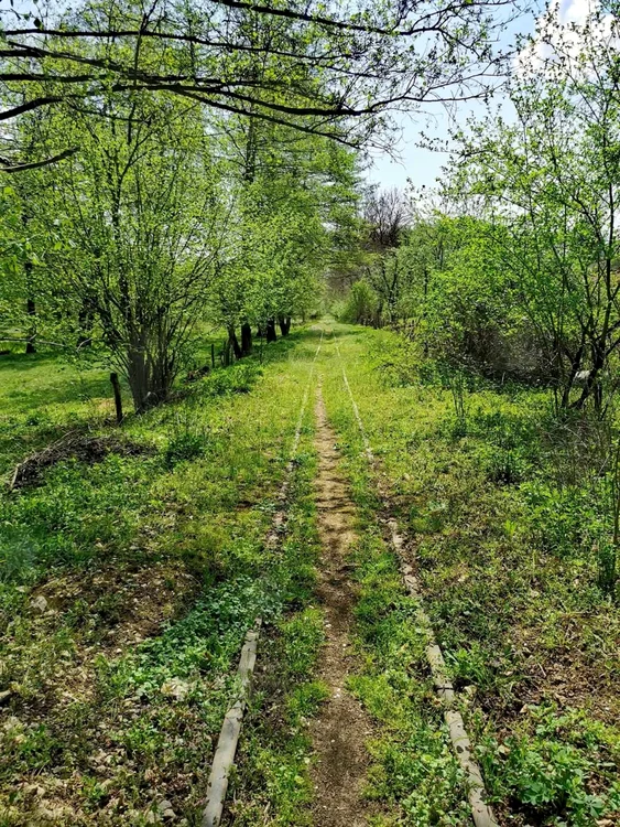 Traseul conduce turiștii printr-o zonă superbă / foto: Facebook