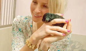 CLIIMA20140409 0169 1 jpeg