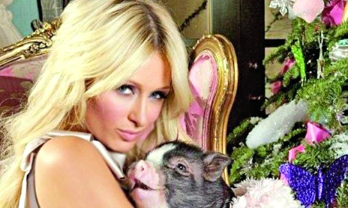 Paris Hilton şi soţii Beckham au lansat moda jpeg